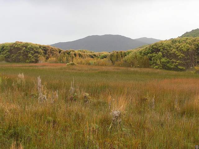 steward island 008.jpg